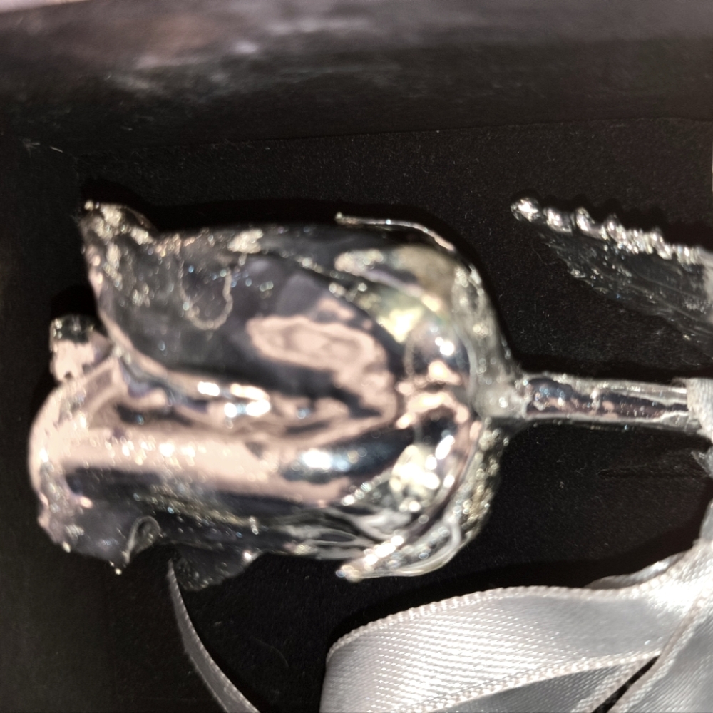 999 Silver Dipped Decorative Rose Made From A Real Rose ,Gift